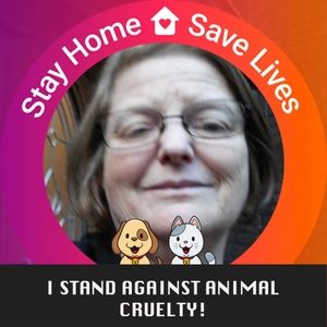 Meet your Posher, Dona